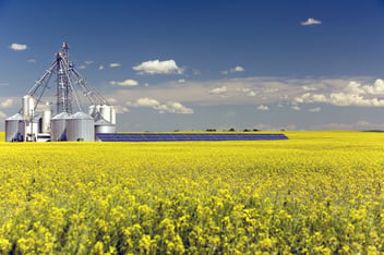 Canola Grain Silo Solar Panel