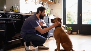 man patting dog in kitchen