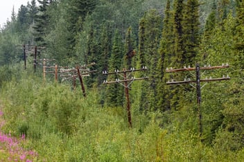 Power line along the Alaska Highway