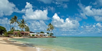 Untouched sandy beach with palms trees and azure ocean