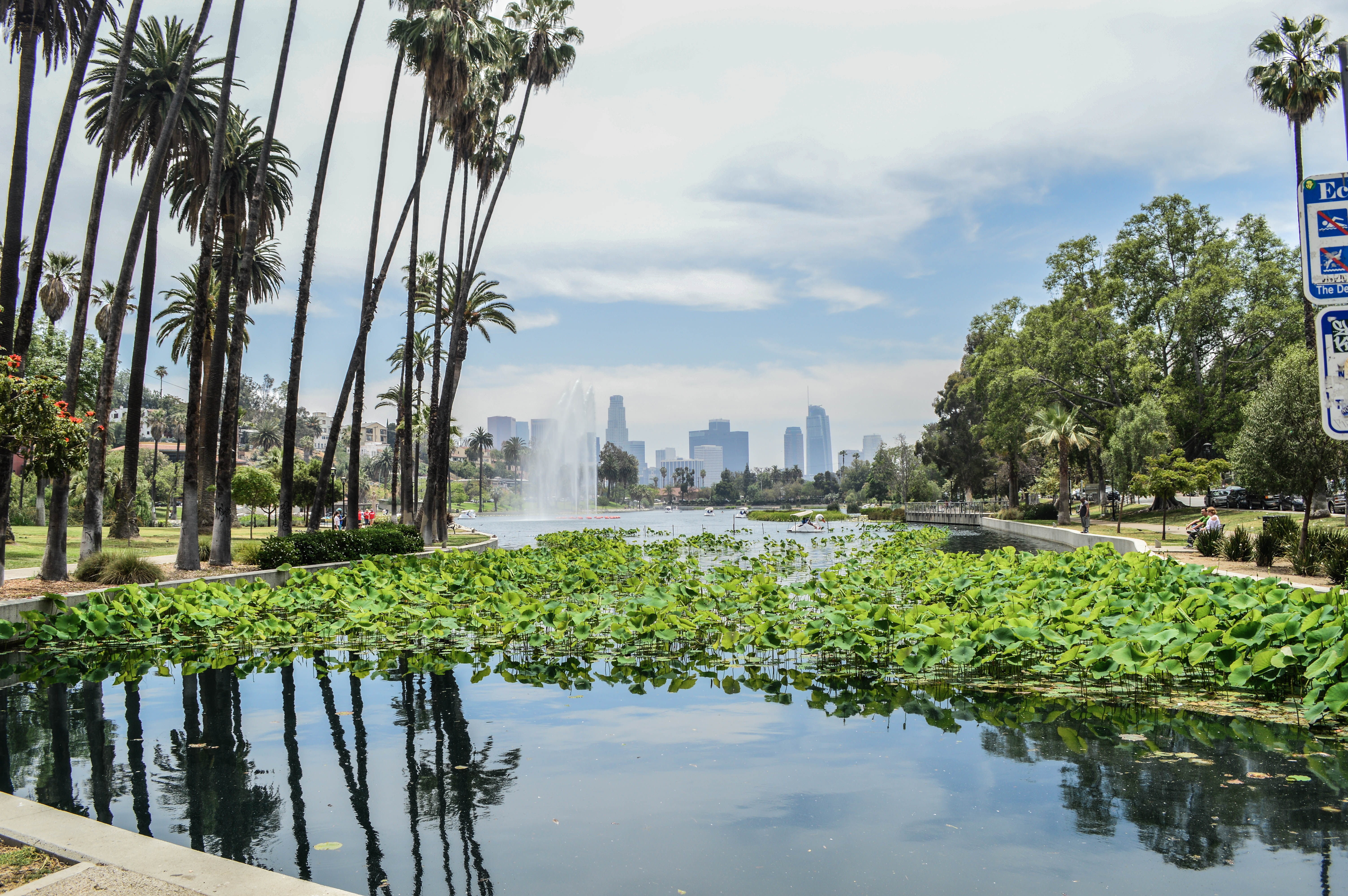 Echo Park Lake in Echo Park, CA (Los Angeles)