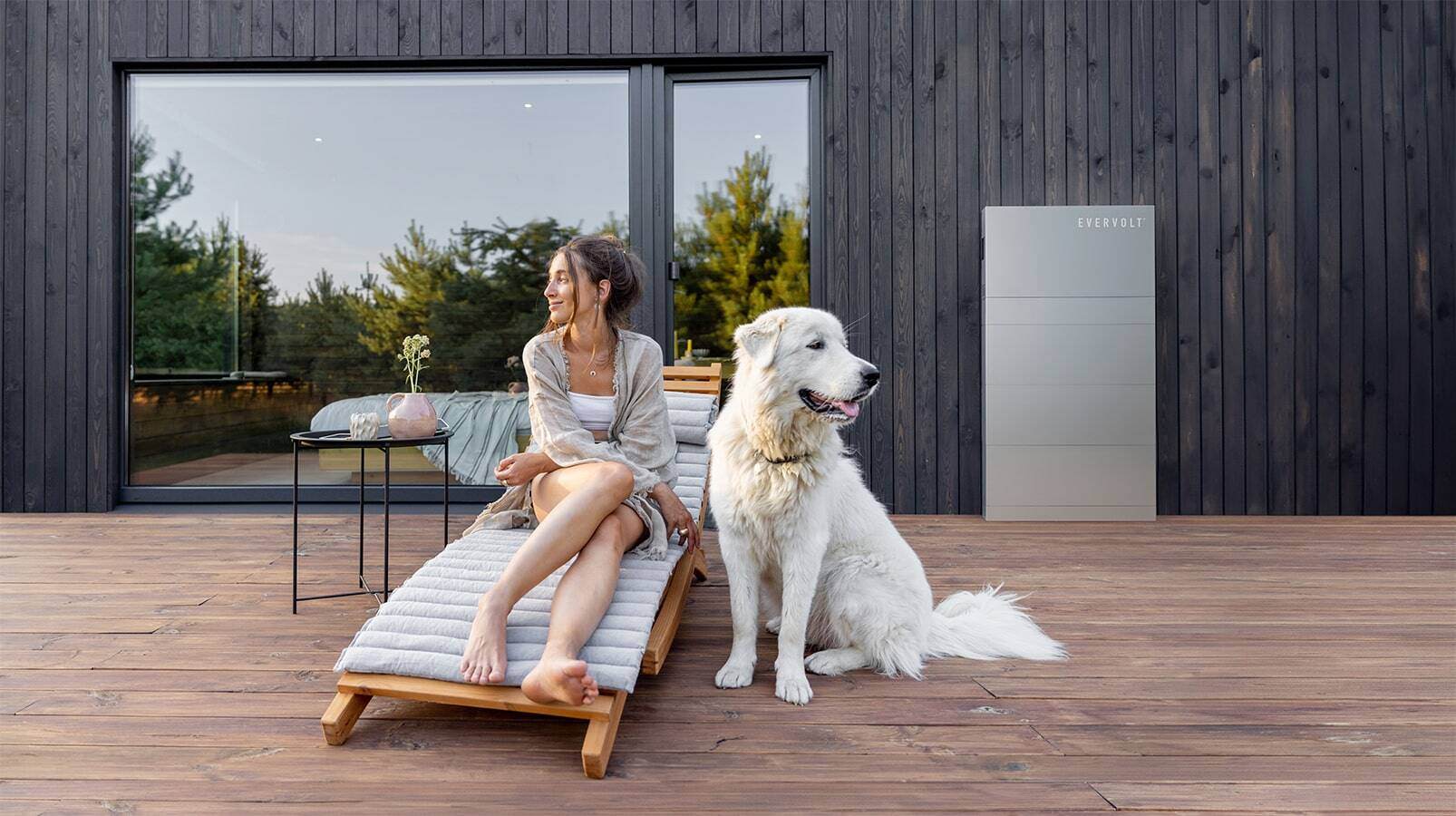 homeowners-EVERVOLT home-storage-product-with dog-1606x900.jpg