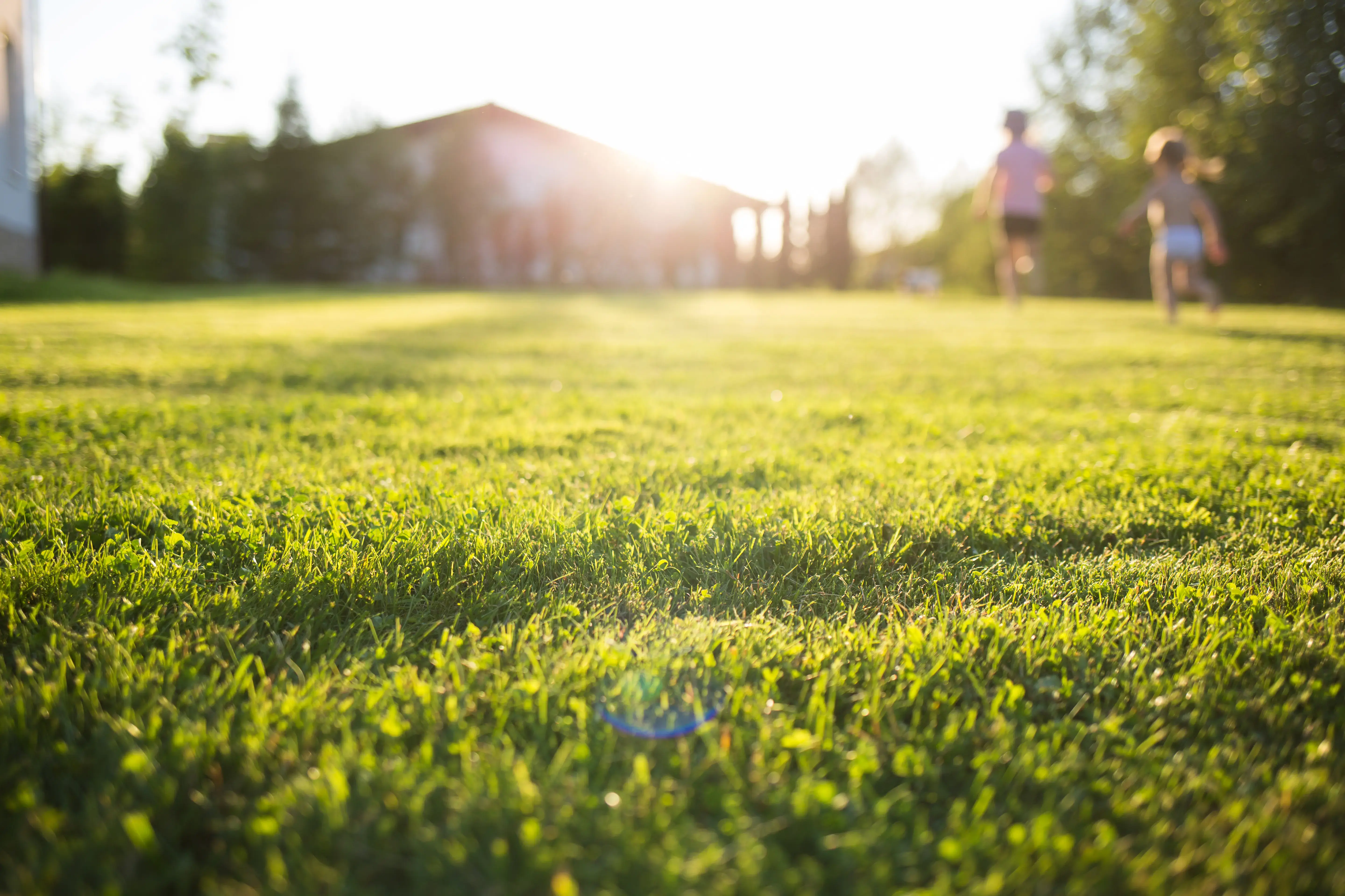 lawn at home. running children in blur. On a Sunny summer day.