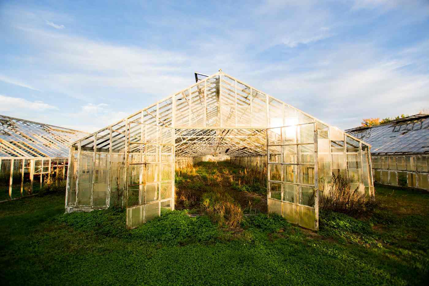 old-greenhouse-solar-panels-heat-greenhouse.jpg