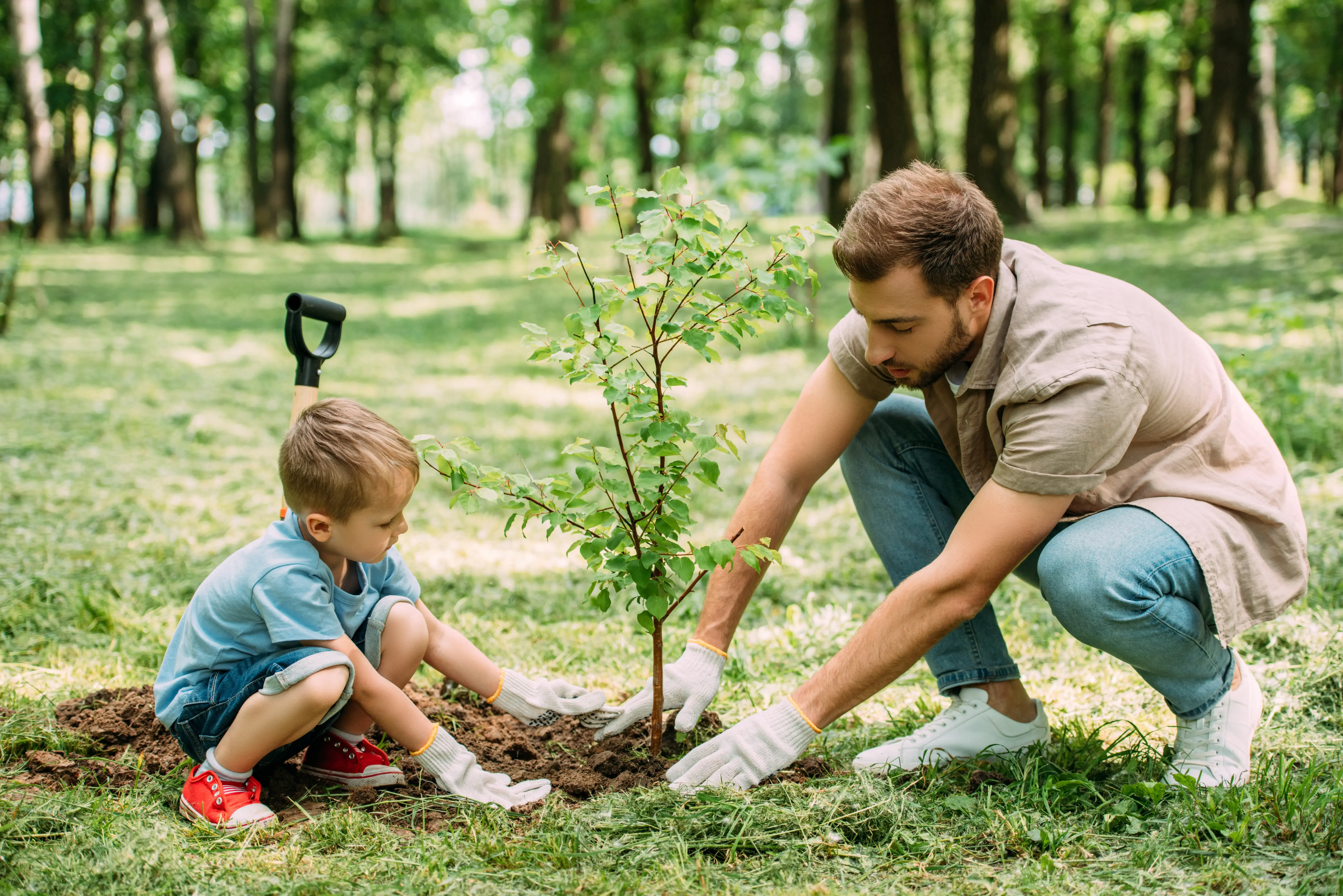 side view of father and son planting tree at park