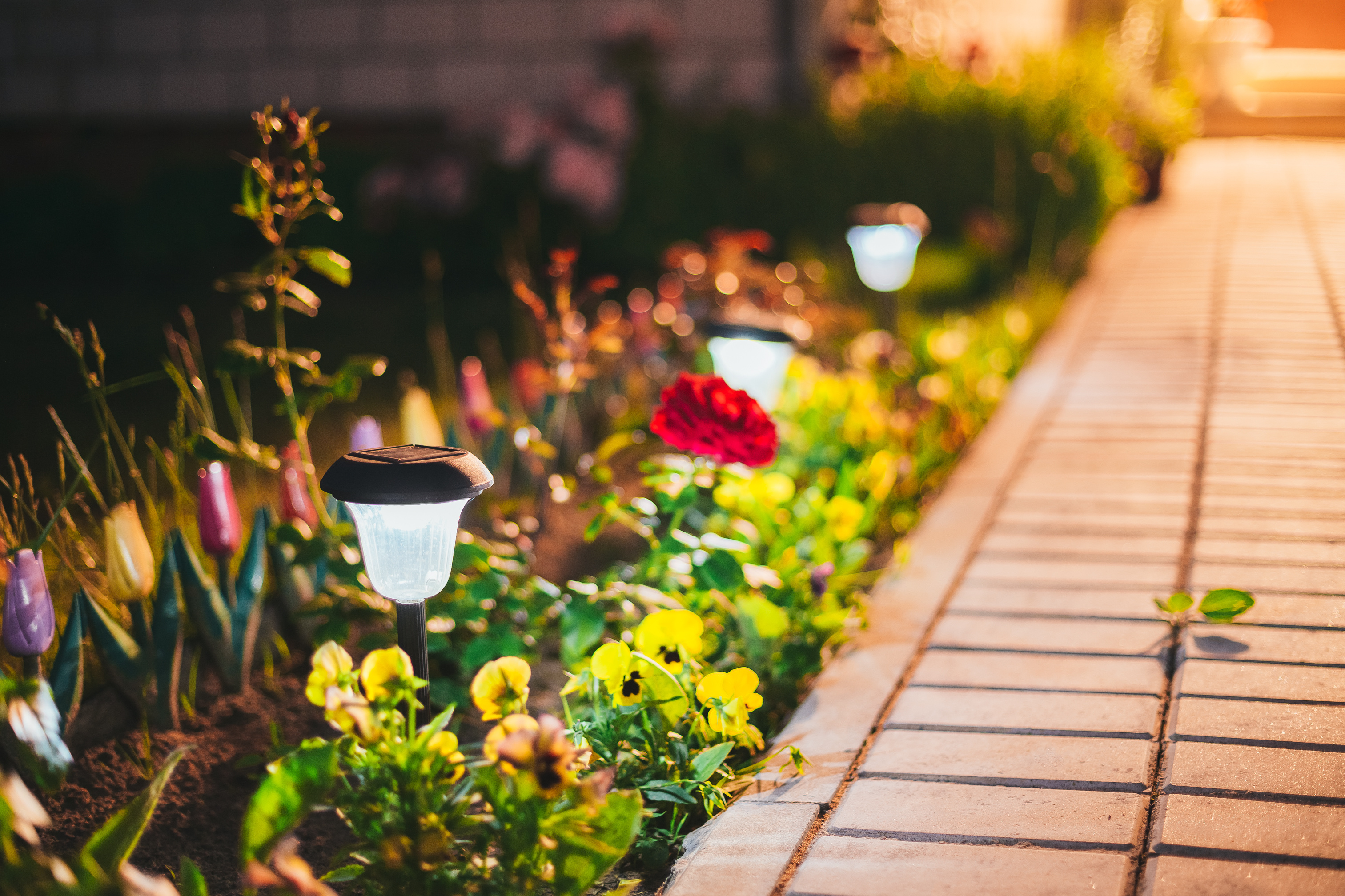 Small Solar Garden Light, Lantern In Flower Bed. Garden Design.